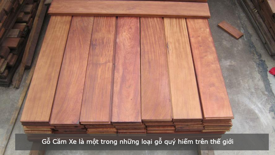 Báo giá sàn gỗ tự nhiên mới nhất và ưu đãi hấp dẫn từ các nhà cung cấp Báo giá sàn gỗ tự nhiên mới nhất và ưu đãi hấp dẫn từ các nhà cung cấp